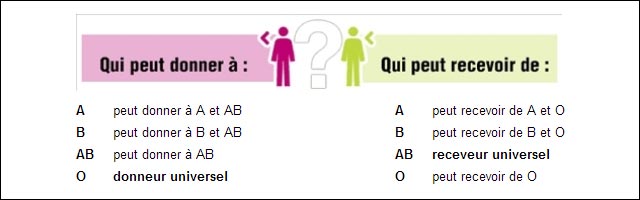 Don Du Sang : Qui Donne Et Qui Reçoit | Blog-Note